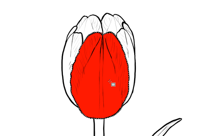 700x477 How To Draw Flowers The Noble And Sincere Tulip