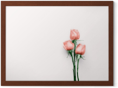 400x297 Rose Flower In Minimalistic Style Top View Three Fresh Pink Roses