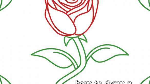 585x329 How To Draw A Rose