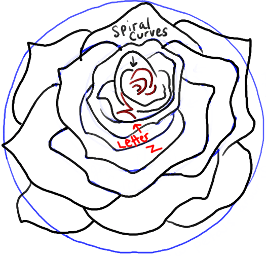 525x505 How To Draw Roses Opening In Full Bloom Step