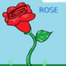 220x220 How To Draw How To Draw A Rose