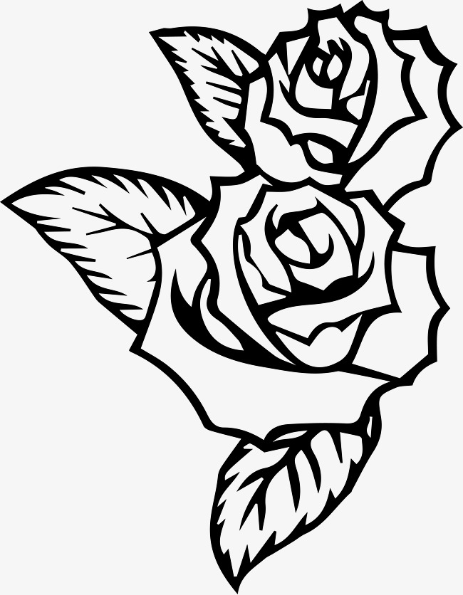 650x836 Black And White Sketch Rose Plant Free Download Vector