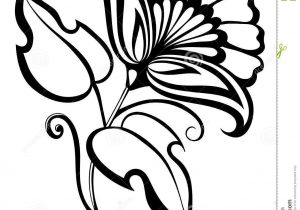 300x210 Flower Black And White Drawing Flower Drawing Black And White Clip