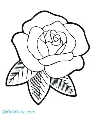 327x400 Flowers To Draw Roses Drawing Step