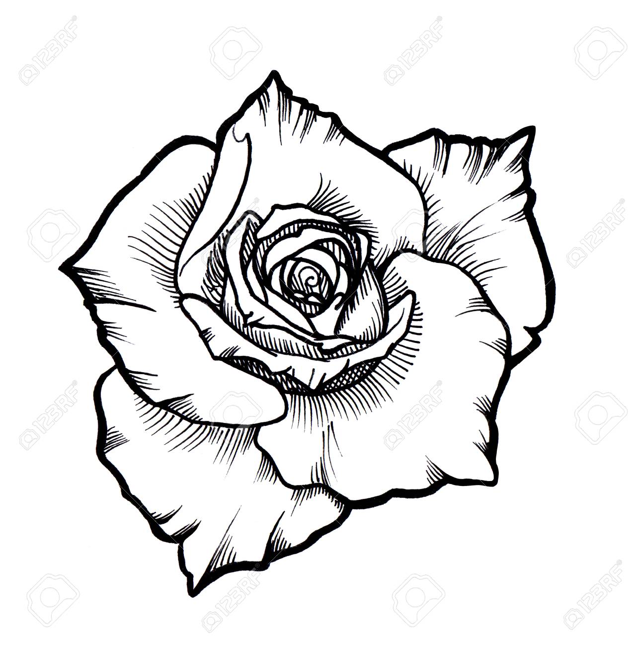 1276x1300 Huge Collection Of 'black And Grey Rose Drawing' Download More