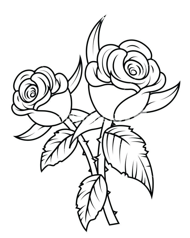 776x970 Pencil Sketch Of A Rose Simple Rose Drawing Pencil Drawing Rose