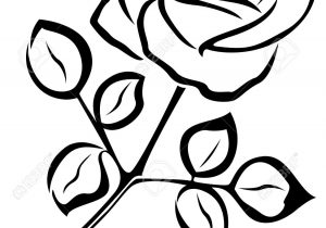 300x210 Rose Flower Black And White Drawing Outline Of Drawing