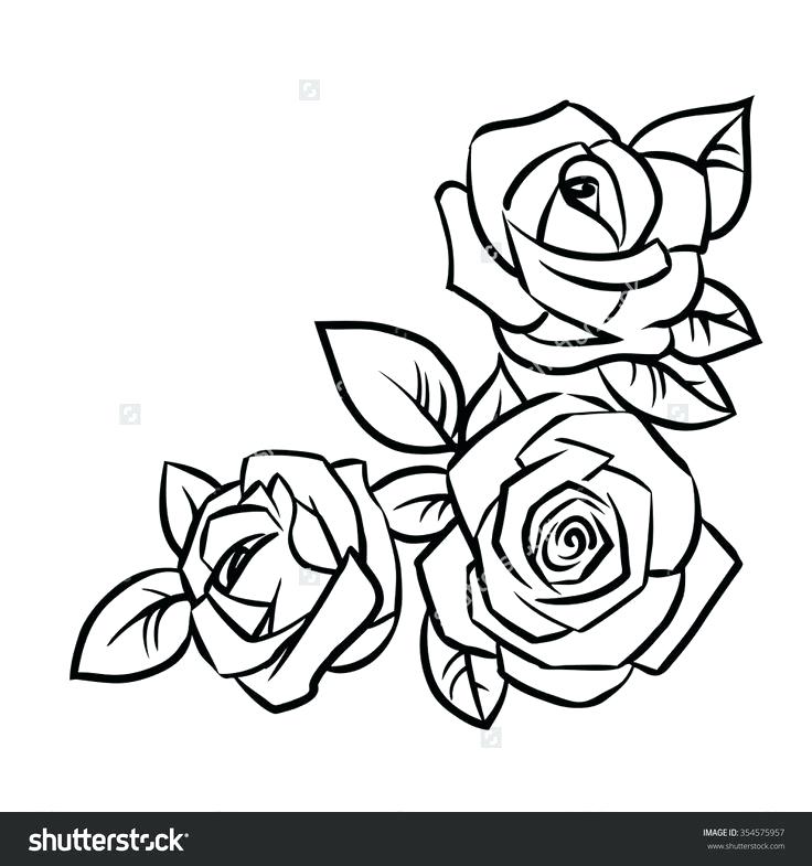 736x785 Simple Sketch Of A Rose Contour Rose Flower Black And White Doodle