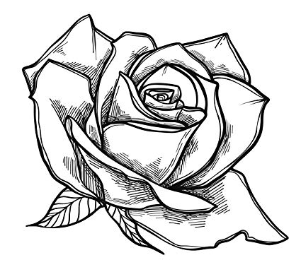 425x385 Black And White Rose Flower Sketch Vinyl Decal Sticker