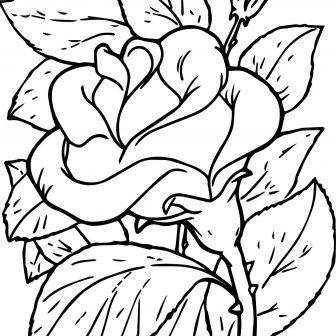 336x336 Black And White Drawing Rose Flower Line Skull Free Clip Art