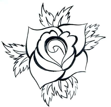 432x418 Easy Rose Drawing How To Draw A Easy Rose Easy Rose Drawing Photo