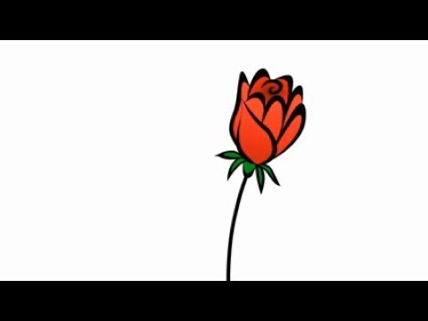 480x360 How To Draw A Red Rose Easy For Kids