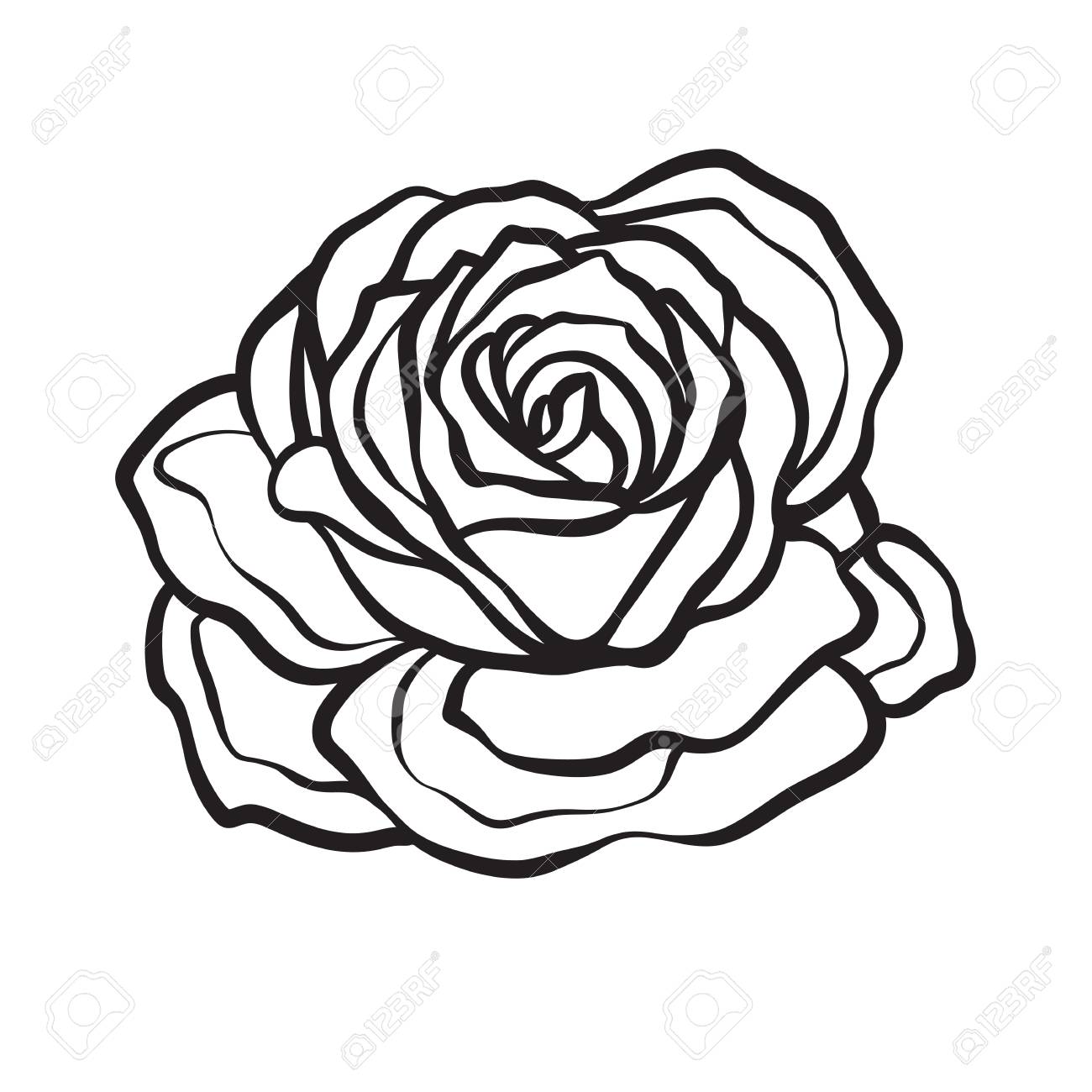 1300x1300 Huge Collection Of 'rose Flower Line Drawing' Download More Than