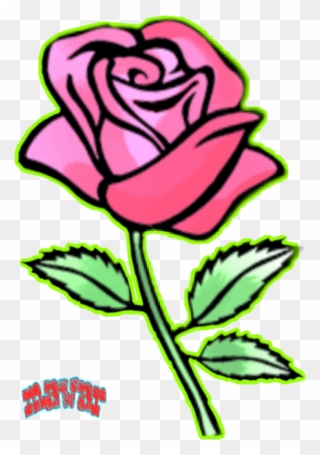 320x455 Rose Flower Drawing Buy Clip Art