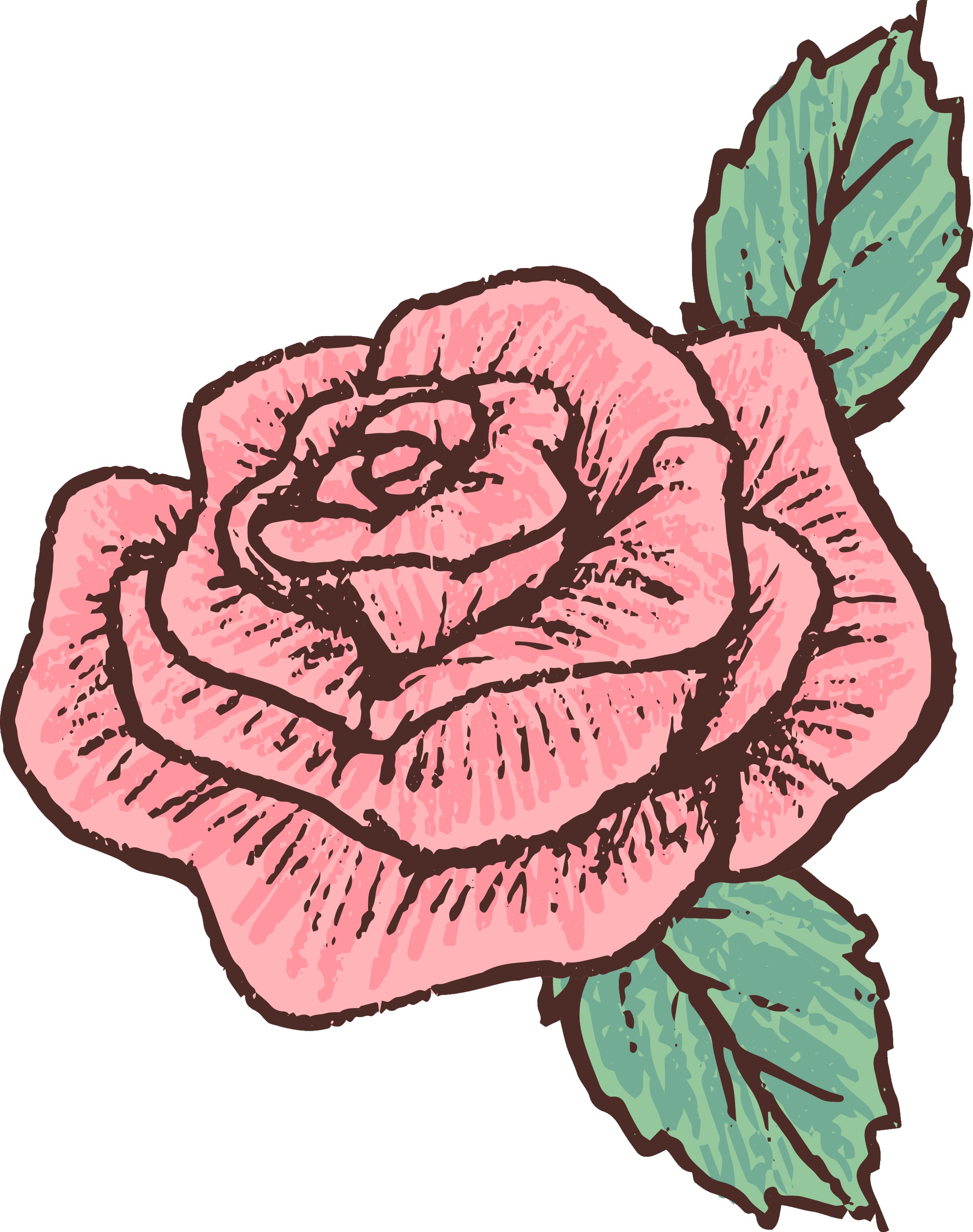 2160x2735 Rose Flower Drawing Archives