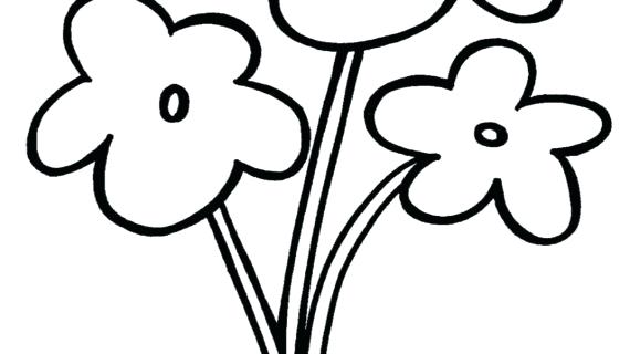 570x320 Flower Drawing Easy How To Draw Flowers Step