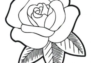 300x210 Rose Flower Drawing How To Draw A Rose Flower