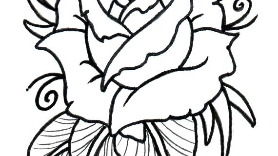 570x320 Rose Flower Outline Drawing Easy Traditional