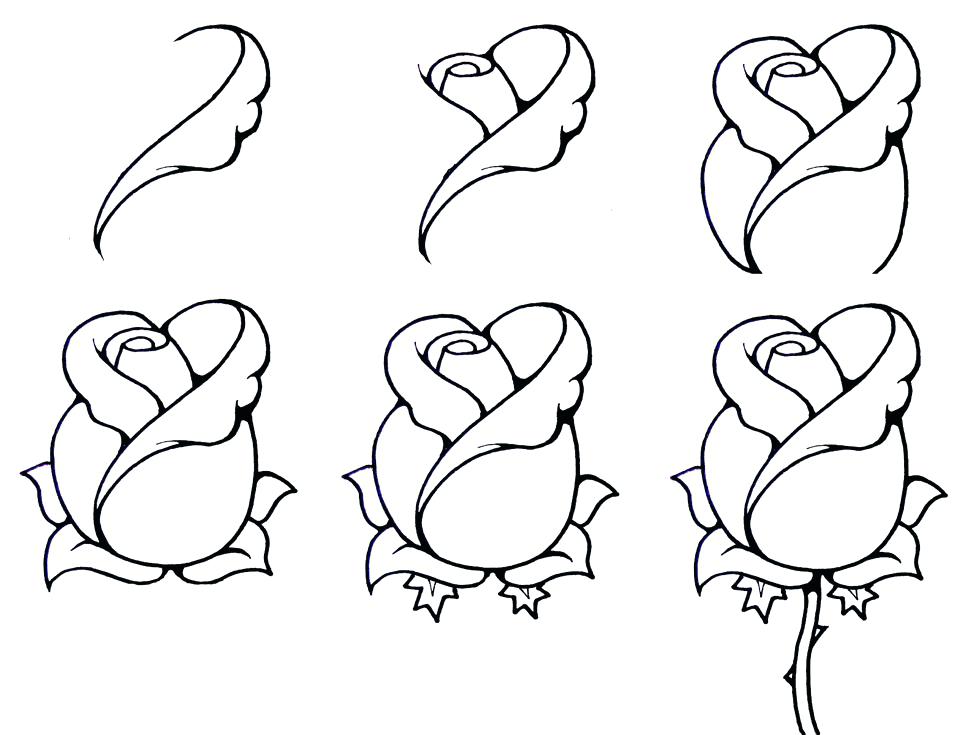 980x735 Simple Flower Drawings Step
