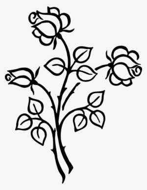 300x387 Flower Line Png Images Png Cliparts Free Download On Seekpng