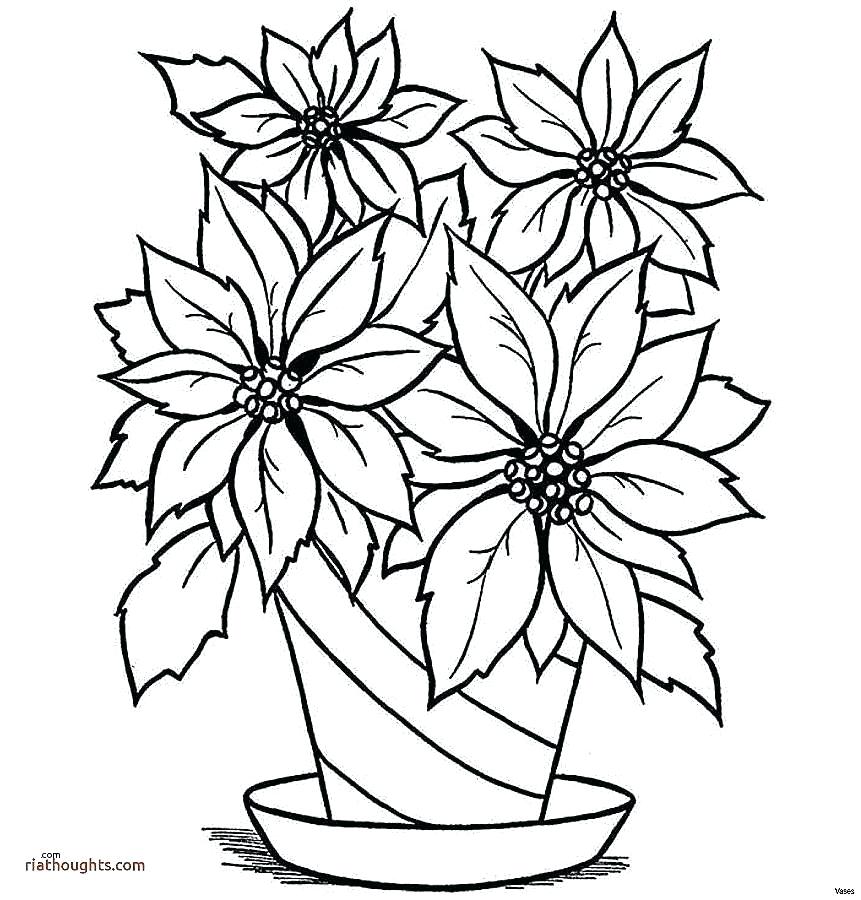 861x900 Free Flower Drawings
