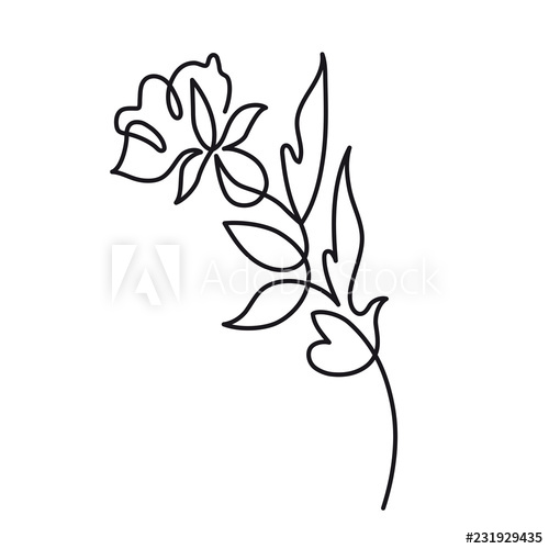 500x500 Continuous One Line Drawing Beautiful Rose Flower Logo Vector