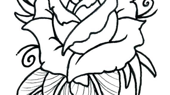 570x320 flower drawing outline rose flower outline picture rose flower