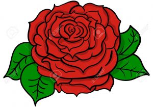 300x210 rose flower drawing rose flowers drawing pencil sketch rose flower