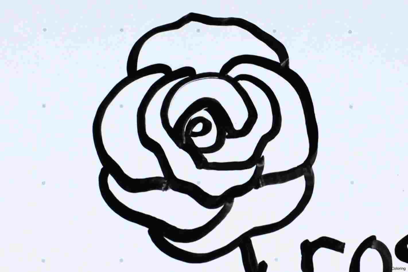 1422x948 Beauty And The Beast Rose Drawing Rose Drawing Draw Alima Us
