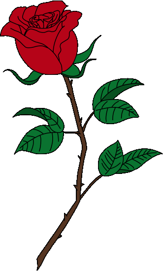 331x550 Collection Of Free Transparent Roses Beauty And The Beast