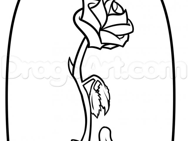640x480 Drawn Red Rose Beauty And The Beast
