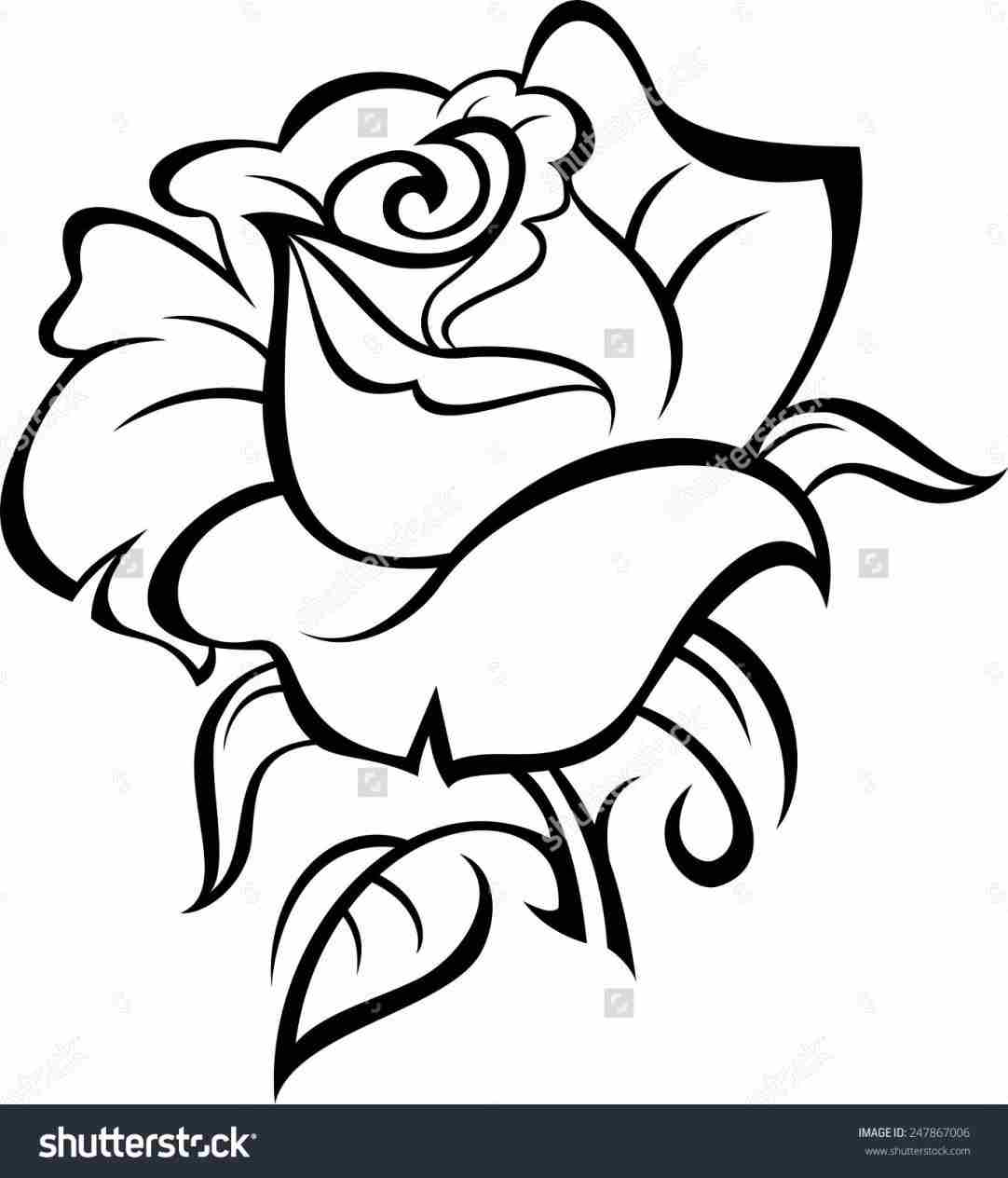 1082x1264 Beauty And The Beast Realistic Rose Drawing Drawing Fine Art