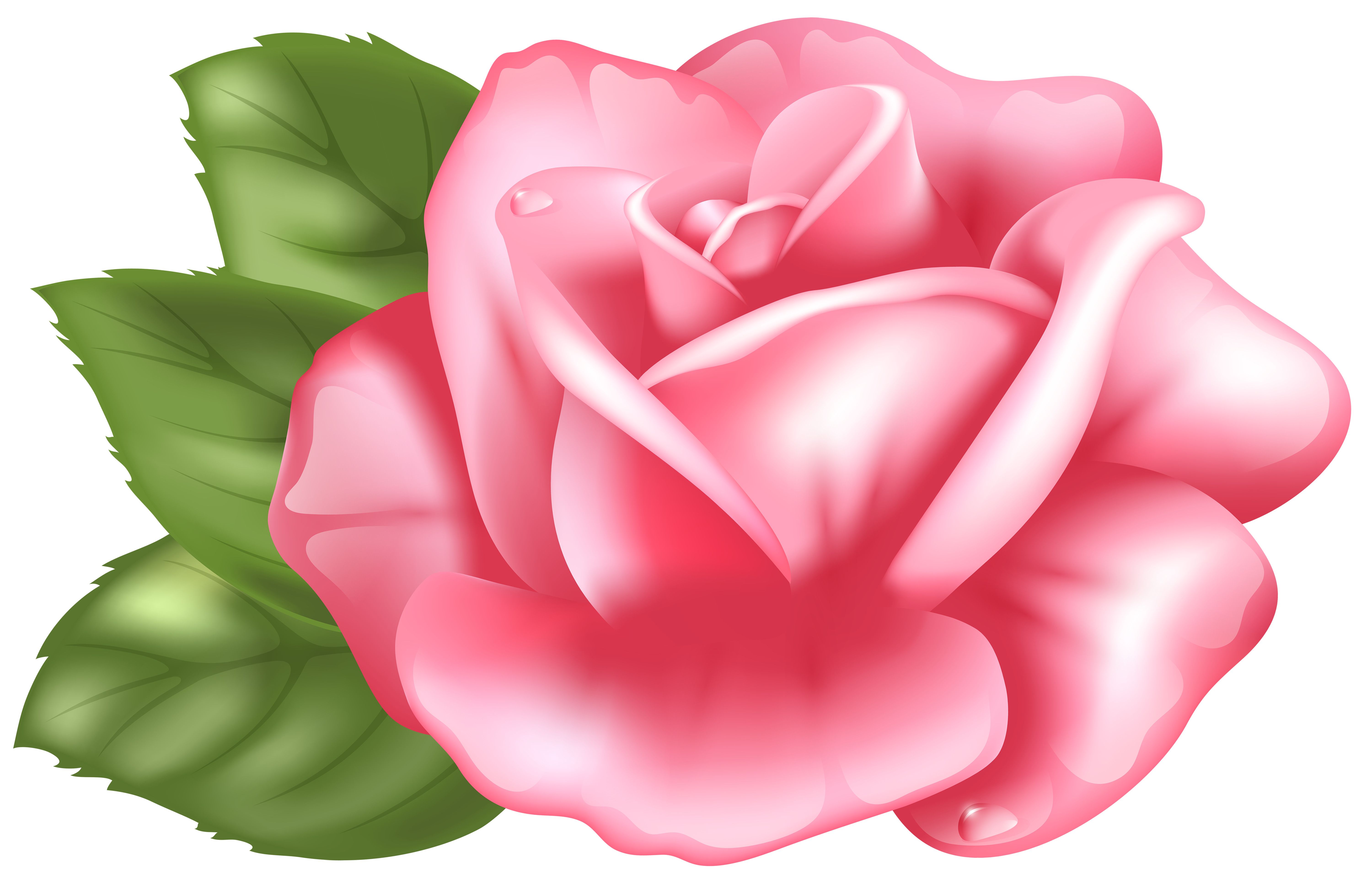Rose Garden Drawing