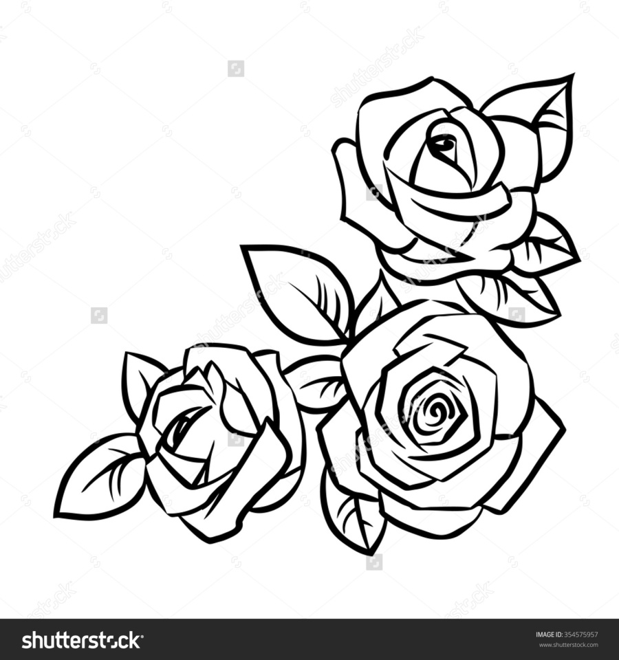 900x960 Outline Drawing Of Rose Flower