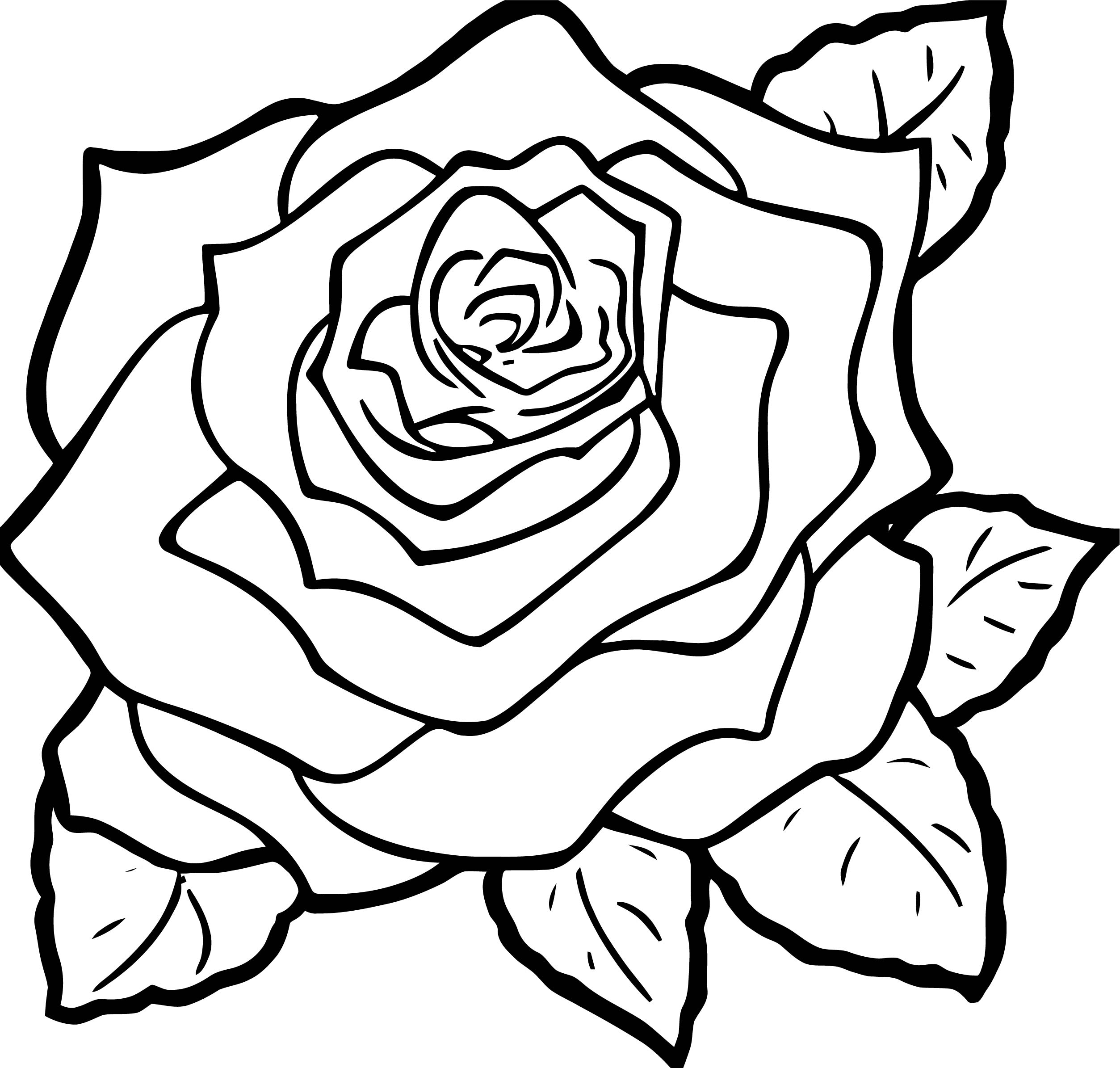 2507x2390 Pages Rose Garden Free Color Of And Skulls Butterflies Compass