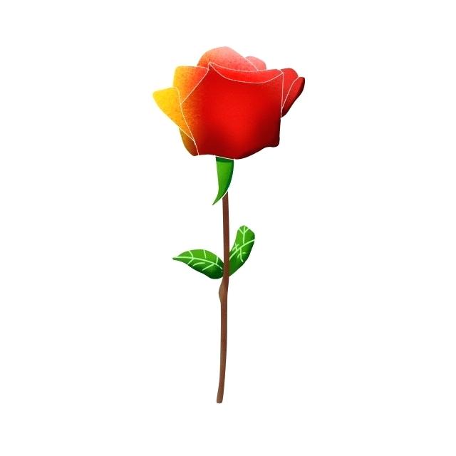 640x640 rose drawn single cute cartoon hand drawn style rose drawn style