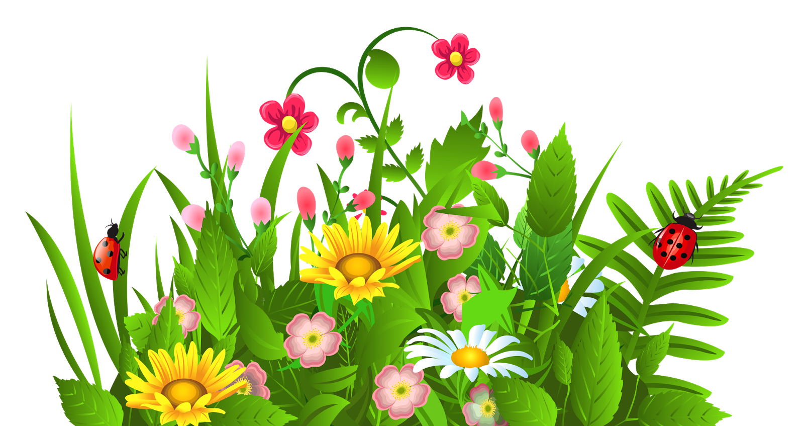 1600x847 Collection Of Free Garden Drawing Spring Download On Ui Ex