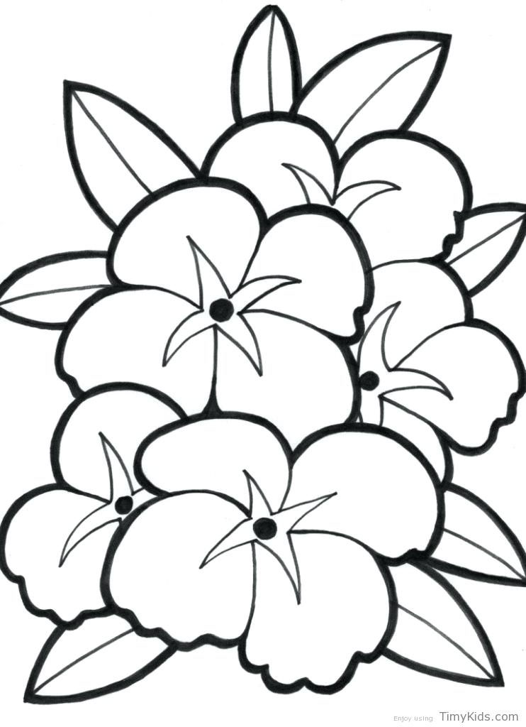 742x1024 Coloring Pages For Girls Flowers Coloring Pages For Girls Flowers