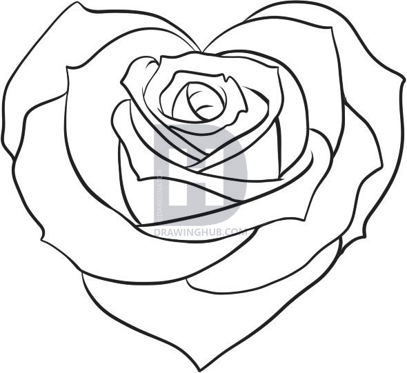590x541 How To Draw A Rose Heart, Step