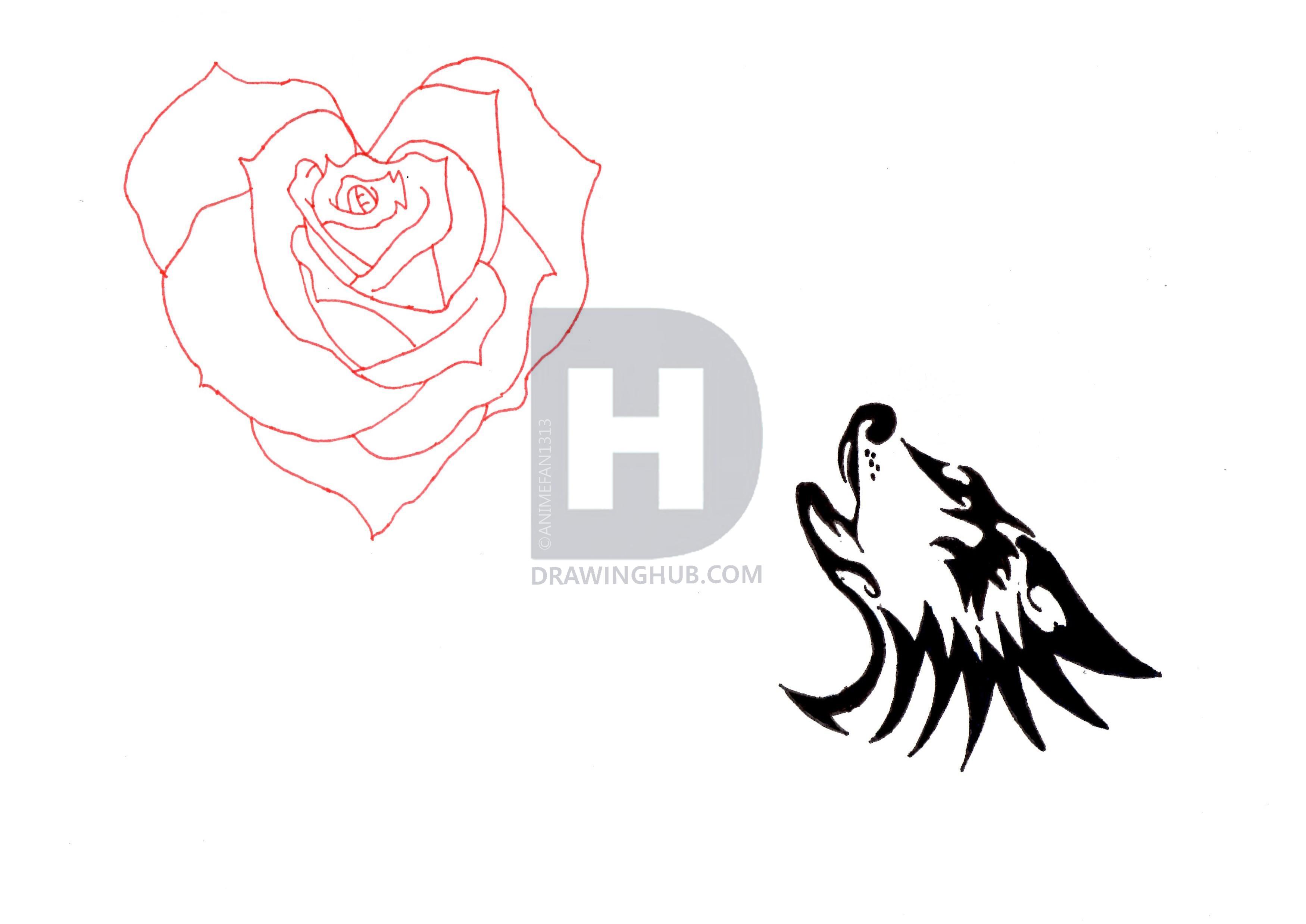 3500x2477 Rose Heart And Wolfs Head Drawing
