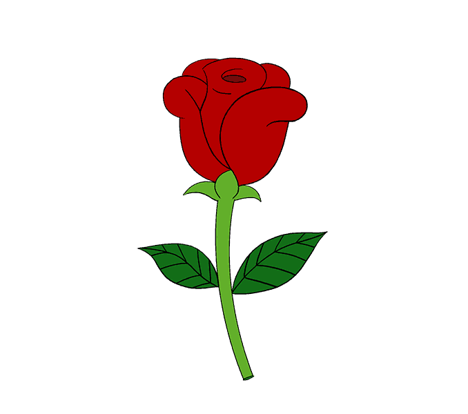 678x600 How To Draw A Simple Rose Easy Drawing Guides