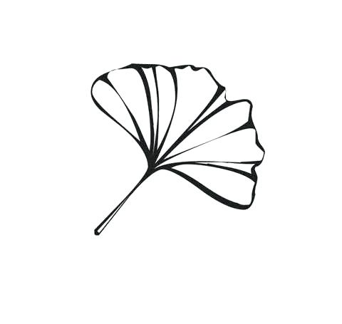 480x455 Leaf Outline Ginkgo Outline Simple Rose Leaf Outline Images