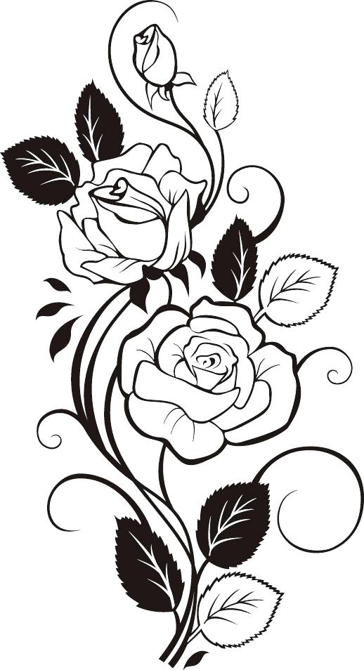 518x954 Tattoo Tattoo Outlines Best Rose Outline Simple Rose Outline Drawing