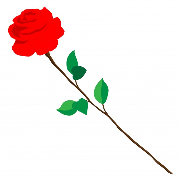 615x615 Drawing Of A Rose Free Stock Photo