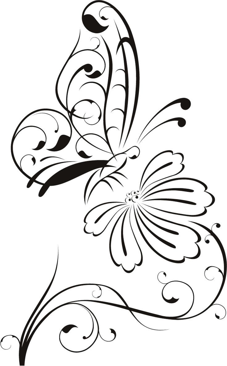 736x1187 Outline Drawing Of Rose Flower