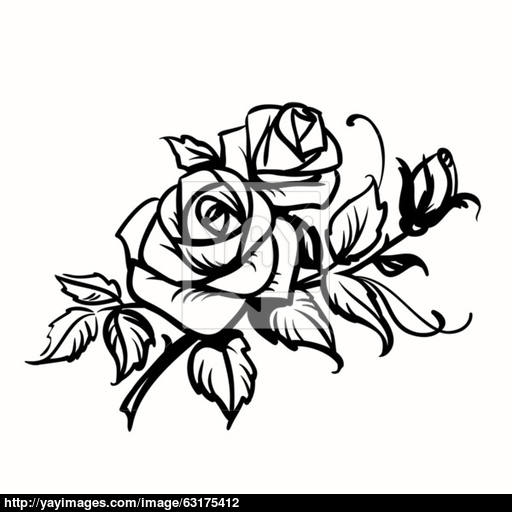 512x512 Roses Black Outline Drawing On White Background Vector
