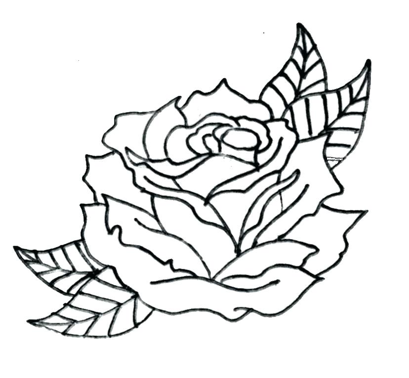 Rose Outline Drawing | Free download on ClipArtMag