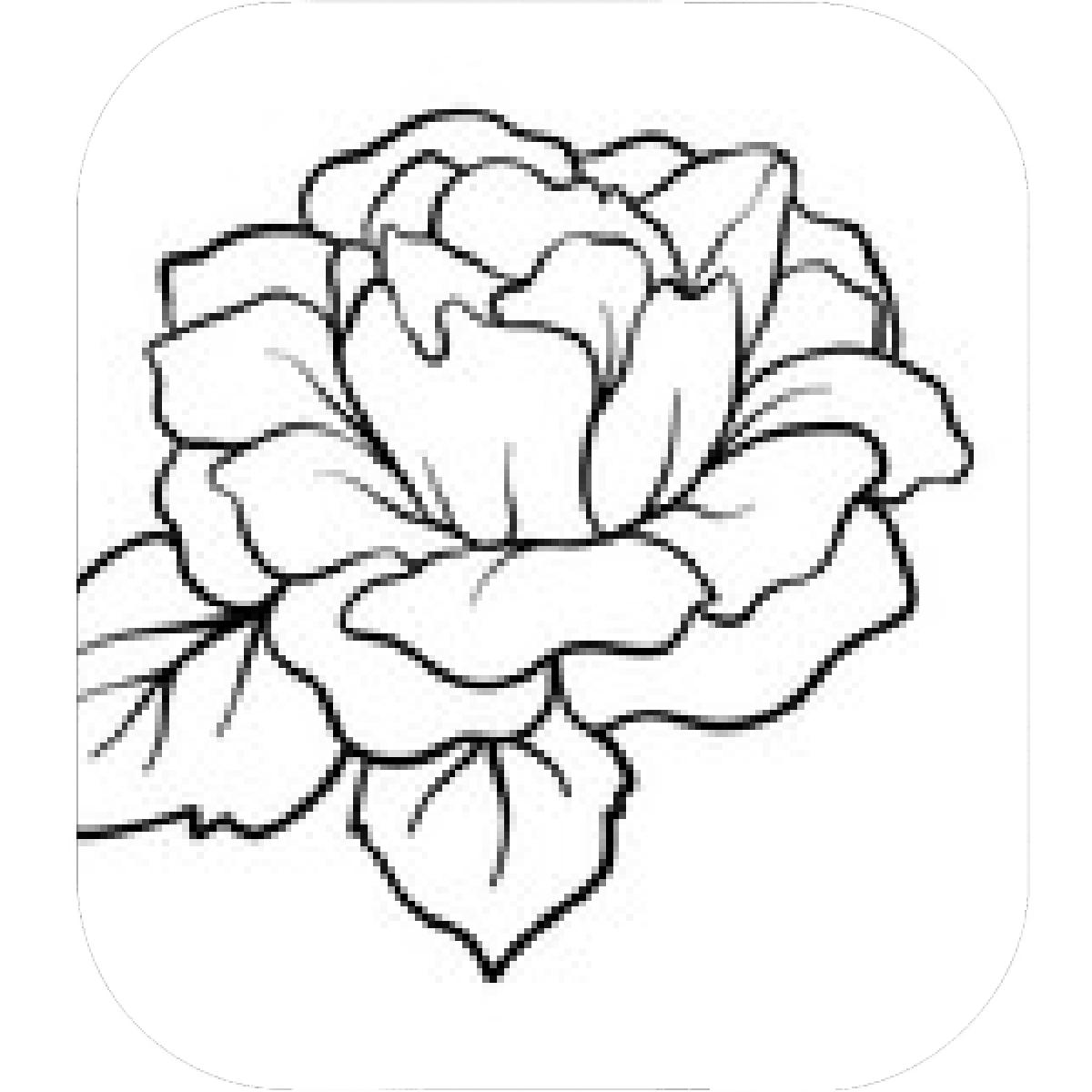 1200x1200 Designs Mein Mousepad Design Mousepad Selbst Designen