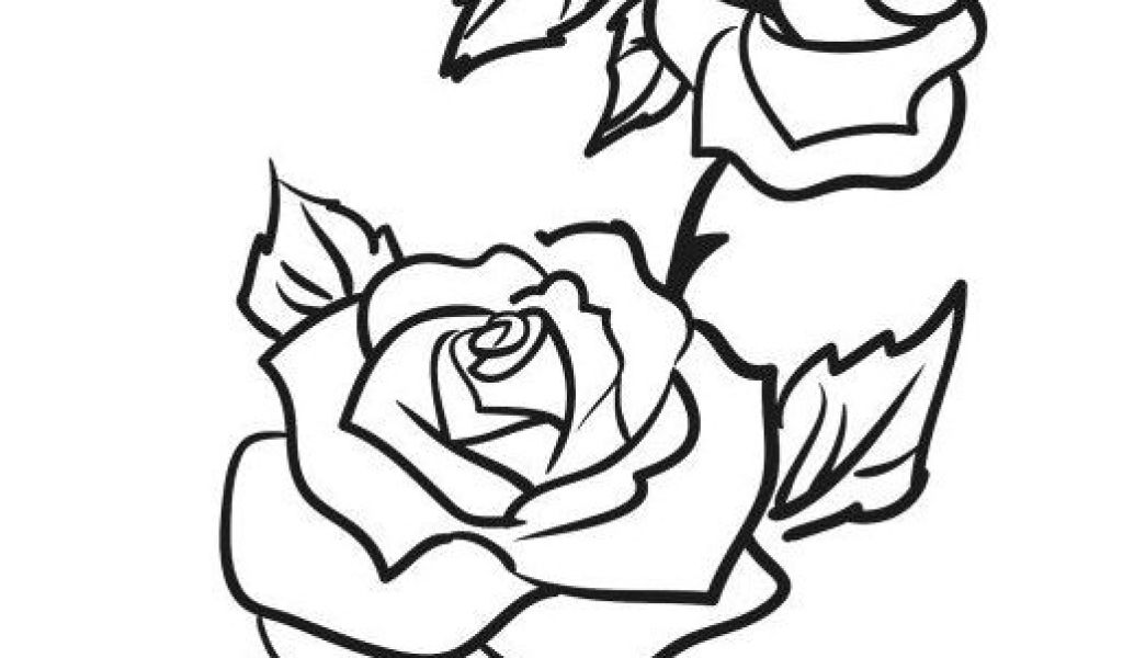 1024x600 Draw A Rose Vine Pin Od Magda K Na Szablony Drawings Outline