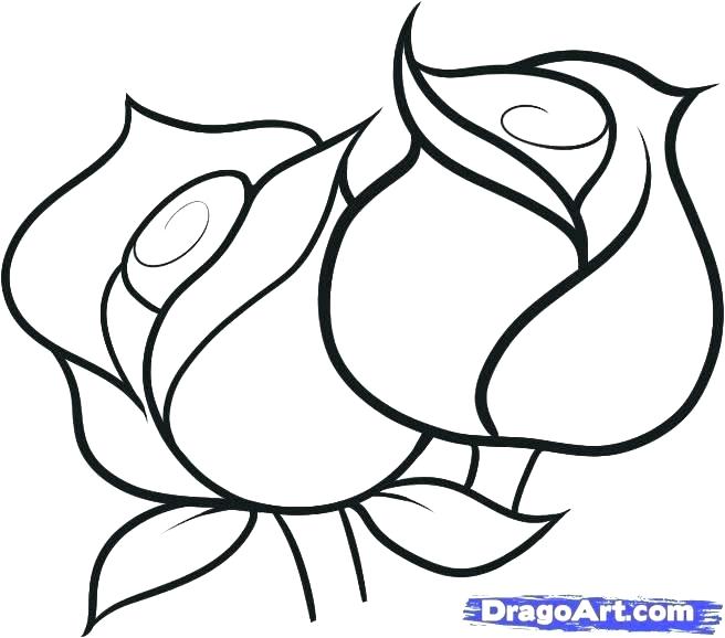 Rose Outline Drawing | Free download on ClipArtMag